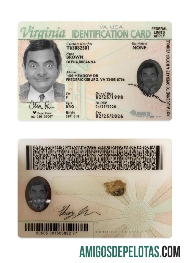 USA Virginia ID Card amostra